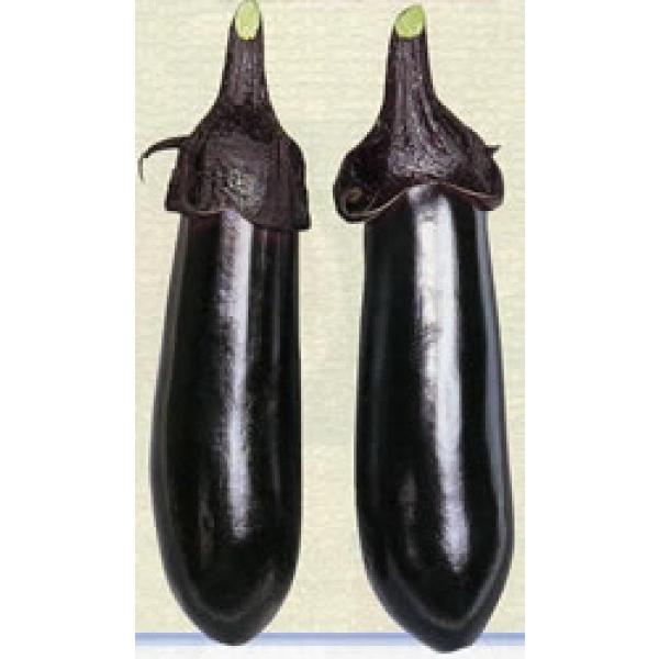 yiXqz@zinӍ̎j@^咆i񂹂񂿂イȂj0.6mli60j12ȍ~̂͂\