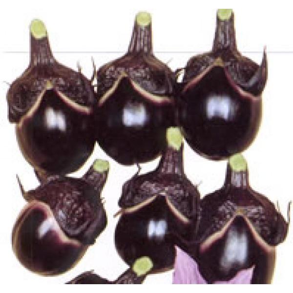 yiXqz@zinӍ̎j@uVہiR`njڂĂ܂v@20@12ȍ~̂͂\