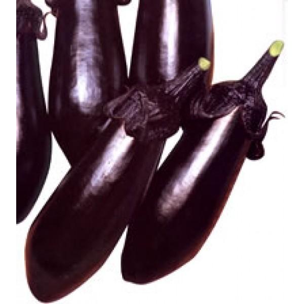 yiXqzzinӍ̎j@iԁj@20@12ȍ~̂͂\