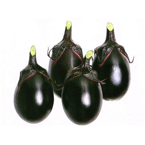 yiXqzzinӍ̎j@uVہiHcnjڂĂ܂v@0.7ml@@V^l͎qؑւ̂PQȍ~̂͂\