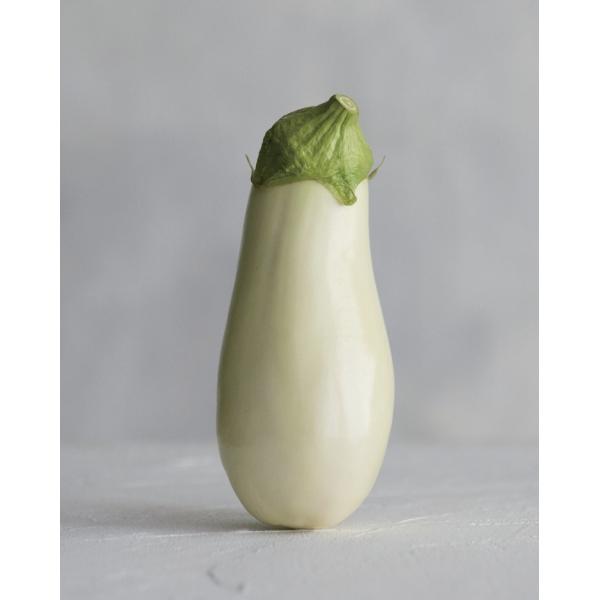 yiXqzgL^c@ȂRNV@uƂ[|Ȃv@100