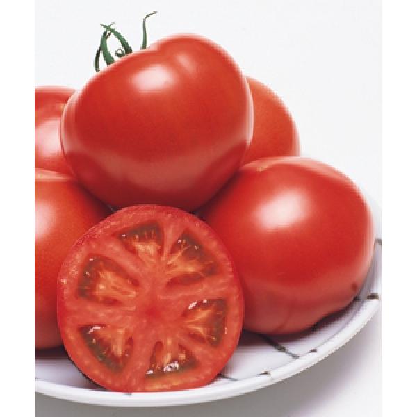 yg}gqz^LCz@CFY[Ni낤[j1000@V^l͎qؑւ12ȍ~̂͂\@[J[/s