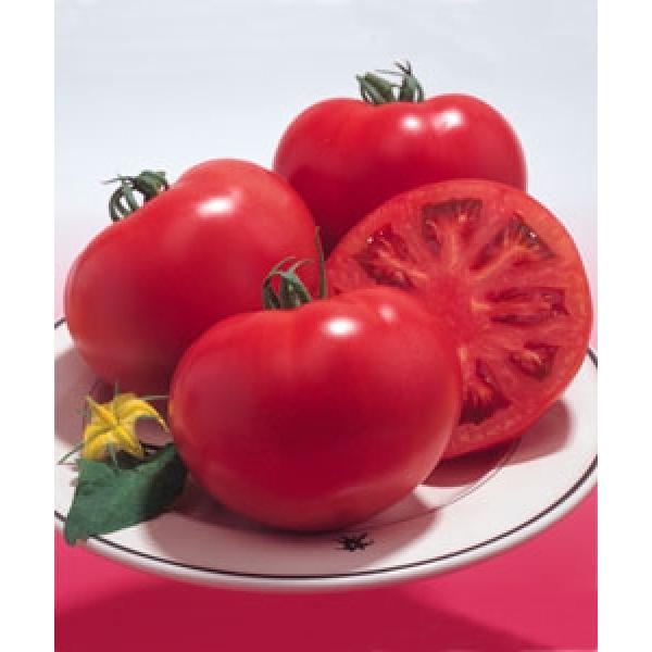 yg}gqz^LCz@YWi낤Ɓjj1000@V^l͎qؑւ12ȍ~̂͂\