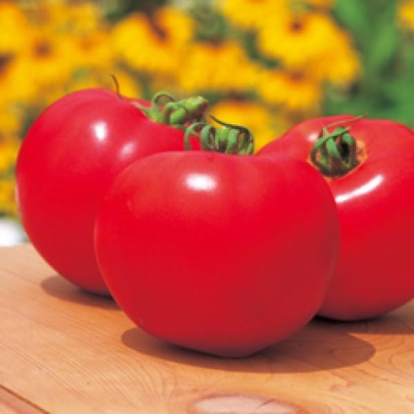 yg}gqz^LCz@Yt@Cgi낤ӂƁj1000@V^l͎qؑւ12ȍ~̂͂\