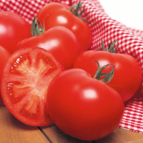 yg}gqz^LCz@z[YEXiف[ނ낤j܁@V^l͎qؑւ12ȍ~̂͂\