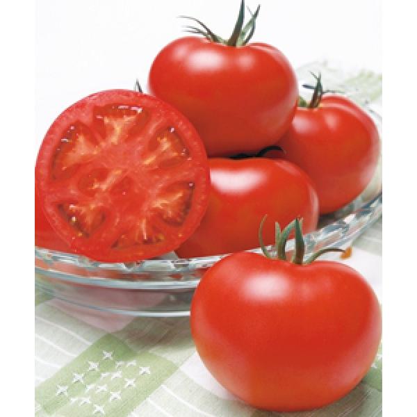 yg}gqz^LCz@YMtgi낤ӂƁj1000@V^l͎qؑւ12ȍ~̂͂\