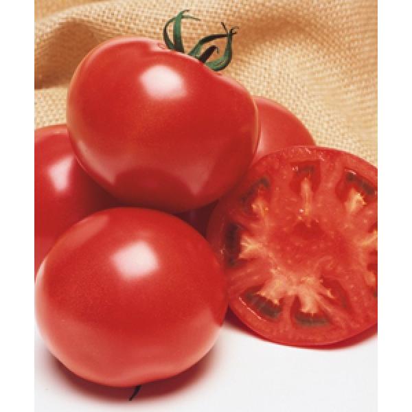 yg}gqz^LCz@CFYt@Ci낤ӂƁj1000@V^l͎qؑւ12ȍ~̂͂\