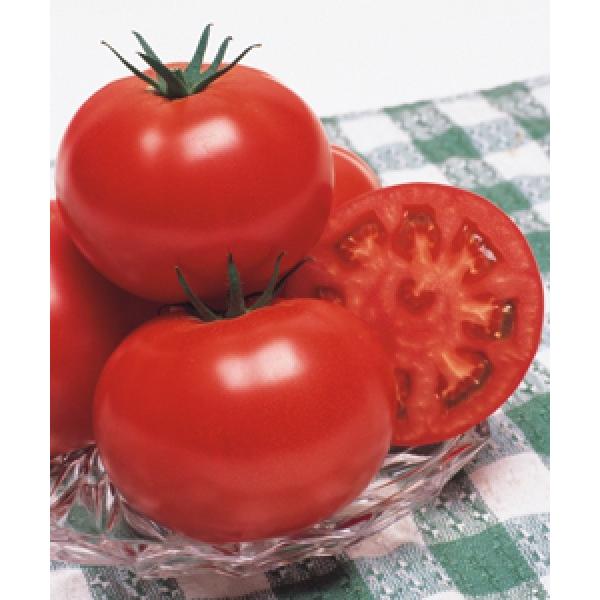 yg}gqz^LCz@CFY͂邩i낤͂邩j1000@PVPo^iq@V^l͎qؑւ12ȍ~̂͂\