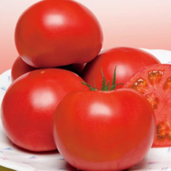 yg}gqz^LCz@YZNgi낤ꂭƁj܁@V^l̐؂ւ12ȍ~̂͂\