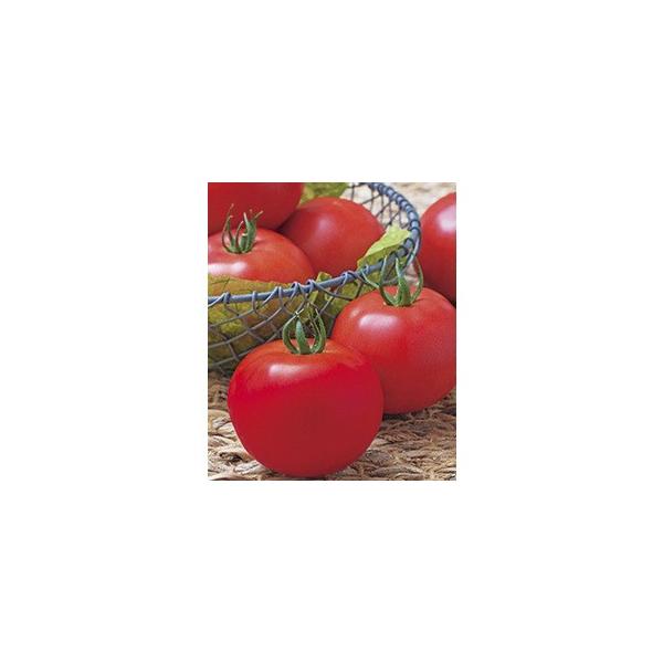 yg}gqz^LCz@Y_[@QkR[gq@1000@PVPo^i@V^l̐؂ւ12ȍ~̂͂\