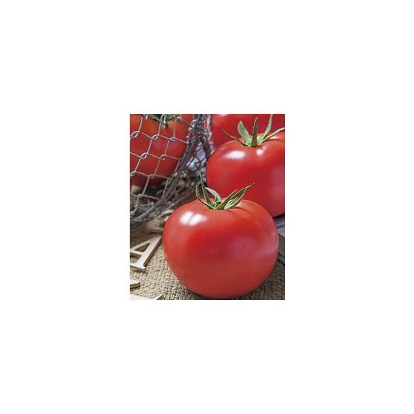 yg}gqz^LCz@Yz[v@2kR[g@1000@g}gtaϕai@@PVPo^i@V^l̐؂ւ12ȍ~̂͂\