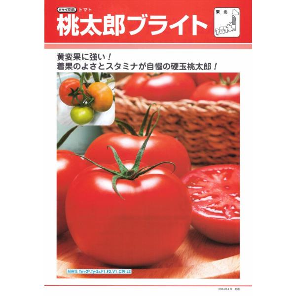 shimizuya-tanenae_vs001030160-100