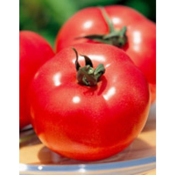 専用トマト様 とまと様 Tomato Slice Sling – Mokuyobi