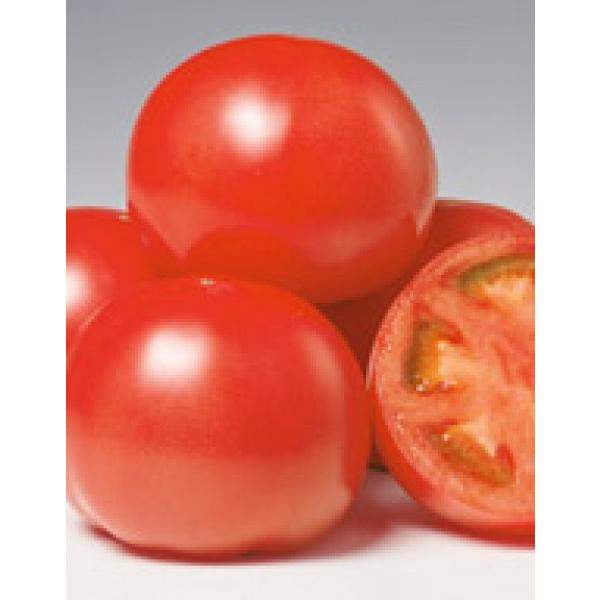 yg}gqzTJ^z@T[h@܁@V^l̐؂ւ12ȍ~̂͂\