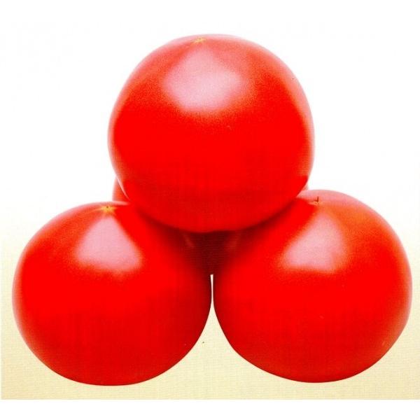 yg}gqzJlRc@CFD i䂤ӂj1000@V^l̐؂ւ12ȍ~̂͂\