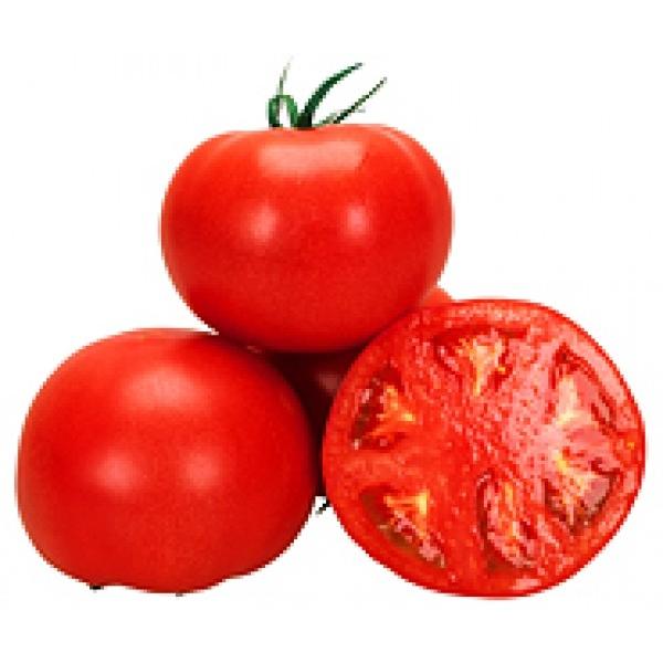 yg}gqzJlRc@ӂ@R[g1000@V^l̐؂ւ12ȍ~̂͂\