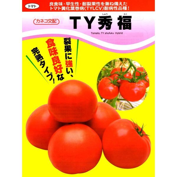 yg}gqz@JlRz@sxGiイӂj@1000@@g}gtaϕai@@V^l̐؂ւ12ȍ~̂͂\