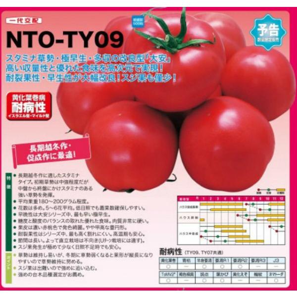 yg}gqzigc@tϕaiwщΎRZuiӂ񂩂񂹂Ԃjx500@12ȍ~̂͂\