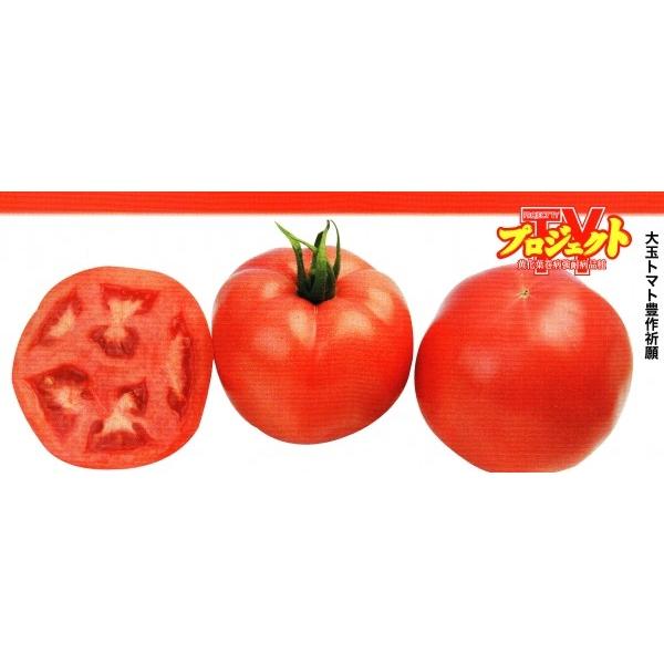 yg}gqz_CzigL^cjtϕai@wLF1102iقjx@100@V^l̐؂ւ12ȍ~̂͂\