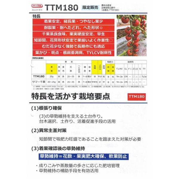 ミニトマト種子】タキイ交配 TTM180 黄化葉巻耐病性品種 小袋 ☆新タネ