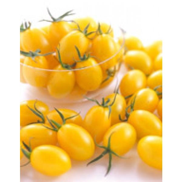 y~jg}gqzTJ^z@CG[ACR@1000@V^l̂͂12ȍ~\