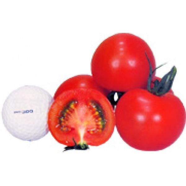 y~jg}gqzJlRz@ʃg}g@bhI[@100@V^l͎q؂ւ12ȍ~̂͂\