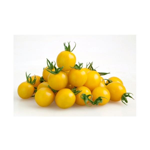 y~jg}gqzJlRz@CG[~~@100@V^l؂ւ12ȍ~̂͂\