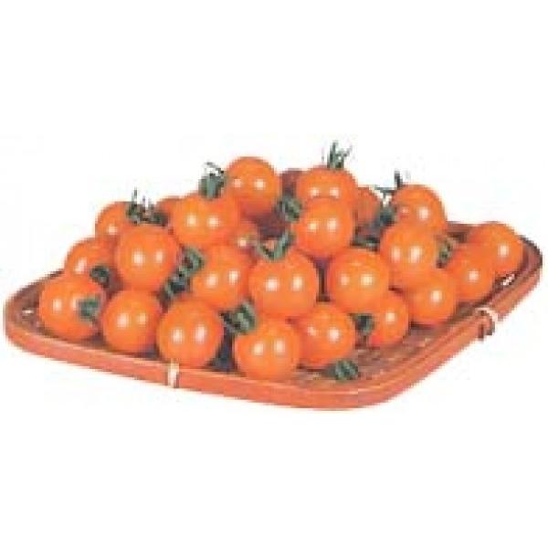 y~jg}gqzJlRz@IWp`F@100@V^l͎q؂ւ12ȍ~̂͂\