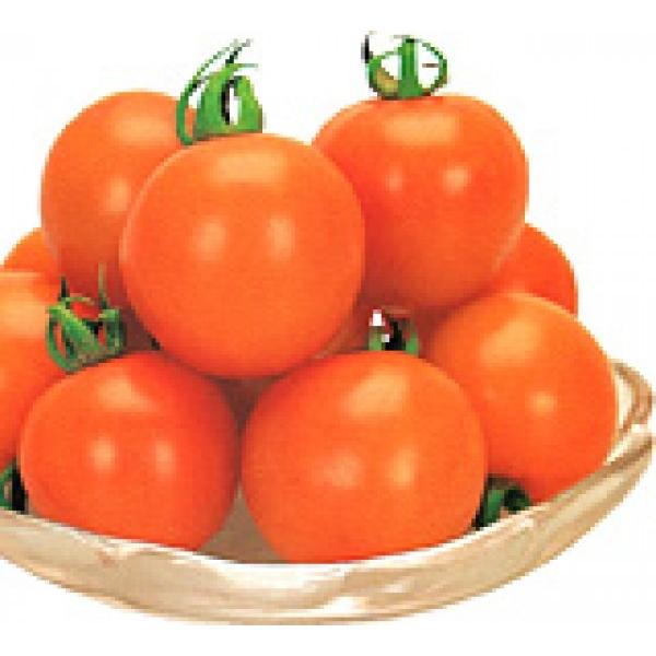 y~jg}gqz@JlRz@IWI[@ʃg}g@܁@V^l͎q؂ւ̂PQȍ~̂͂\