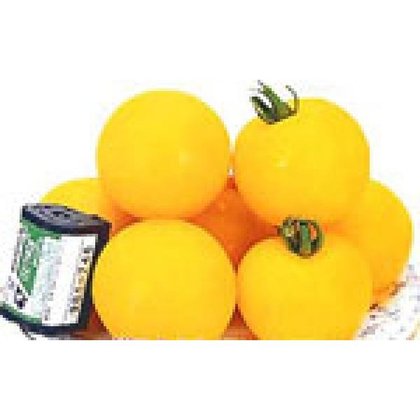 y~jg}gqzJlRz@ʃg}g@CG[I[@100@V^l؂ւ12ȍ~̂͂\