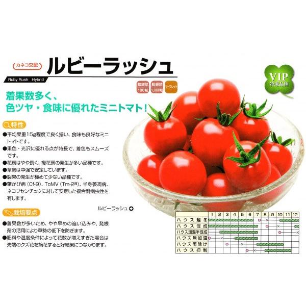 y~jg}gqzJlRz@r[bV@100@V^l͎qؑւ12ȍ~̂͂\