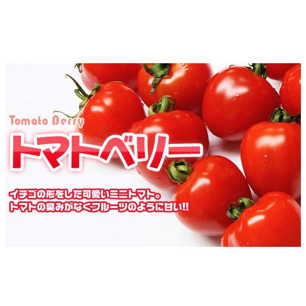 y~jg}gqz_CzigL^cjug}gx[Iyv@100@@vAP[g񓚁@s@V^l12ȍ~͂\