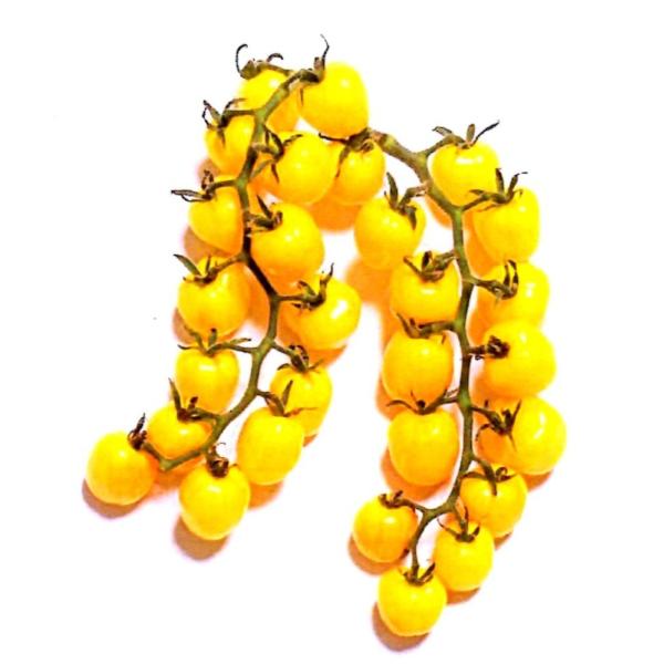 y~jg}gqznӍ̎@uCFv`ՂCG[viՂՂCG[j@7 @V^l͎qؑւ11ȍ~̂͂\