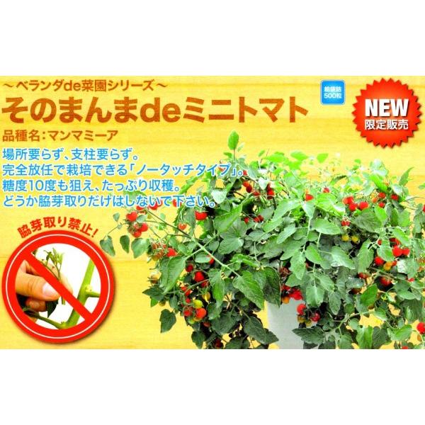 y~jg}gqzigc@̂܂de~jg}gu}}~[Av܁@V^l12ȍ~̂͂\