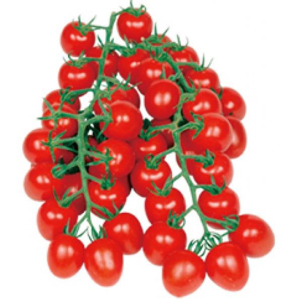 y~jg}gqzFziێcj@Â@i܂j@܁@V^l͎qؑւ12ȍ~̂͂\