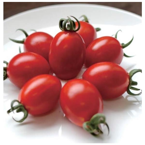 y~jg}gqzFziێcj@taϕai@@X[p[Ȃ߂@iȂ߂j@@10@V^l12ȍ~̂͂\