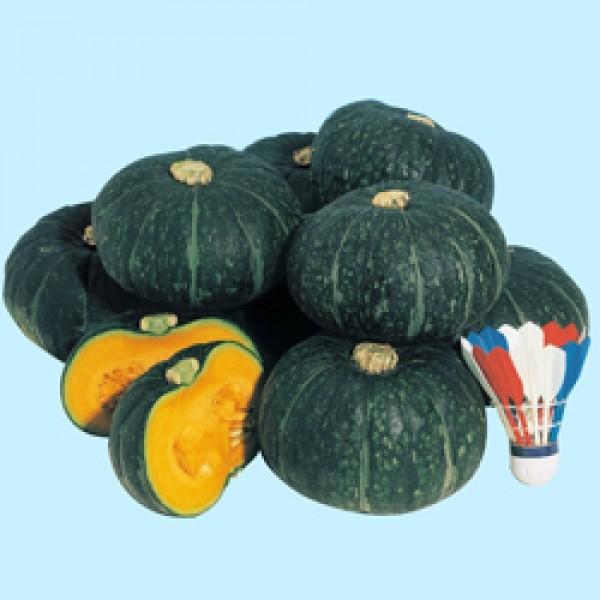 y~jJ{`qz^LCz@~jZ@قP@100@V^l͎q؂ւ1ȍ~̂͂\