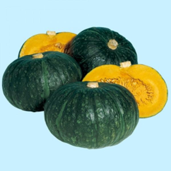 yJ{`qz^LCz@قPRR@100@V^l͎q؂ւ1ȍ~̂͂\