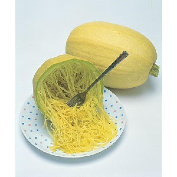 yJ{`qz@^LCz@@Zi񂵂j@ʖF߂Z@GF܁i16j@V^l͎q؂ւ1ȍ~̂͂\