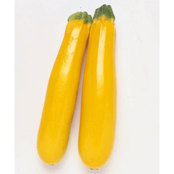 yYbL[jqz^LCz@I[EX@100@V^l͎q؂ւ1ȍ~̂͂\