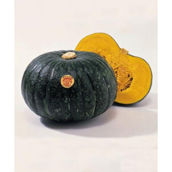 yJ{`qz^LCz@т RF܁i13j@V^l͎q؂ւ1ȍ~̂͂\