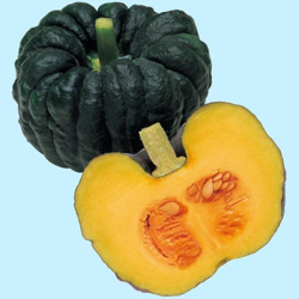 yJ{`qz^LCz@u͂Ɓv@100@V^l͎q؂ւ1ȍ~̂͂\