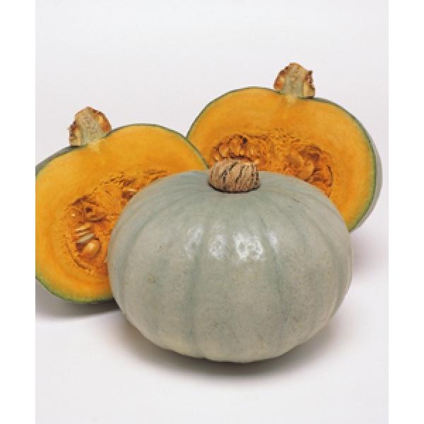 yJ{`qz^LCz@i߂݁j@RF܁i9j@V^l͎q؂ւ1ȍ~̂͂\