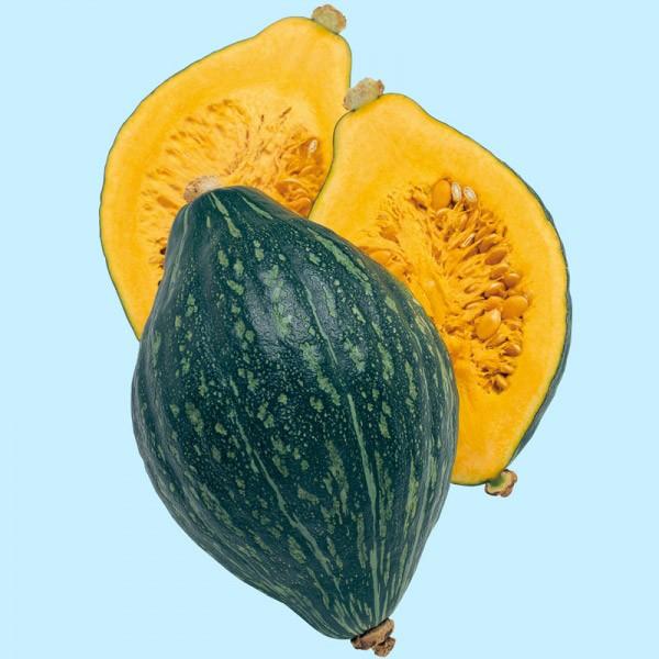 yJ{`qz^LCz@ij@RF܁i8j@V^l͎q؂ւ1ȍ~̂͂\