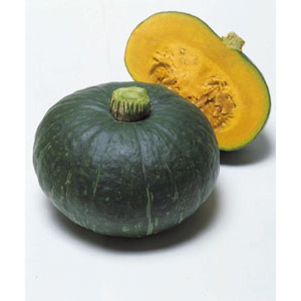 yJ{`qz@^LCz@uȂv@RF܁i12j@V^l͎q؂ւ1ȍ~̂͂\