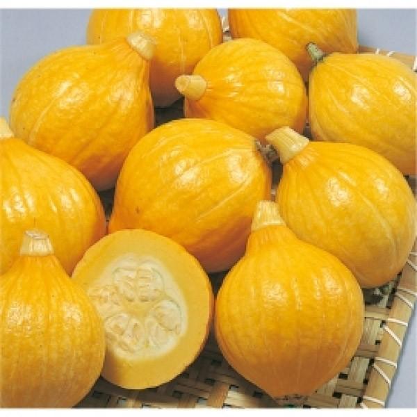 yJ{`qzTJ^z@tbV؁uRL[v100@V^l̐؂ւ͗N1ȍ~\