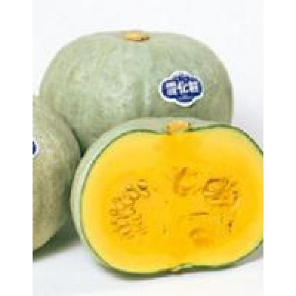 yJ{`zTJ^z@@ቻρi䂫傤j@܁@V^l̐؂ւ1ȍ~̂͂\