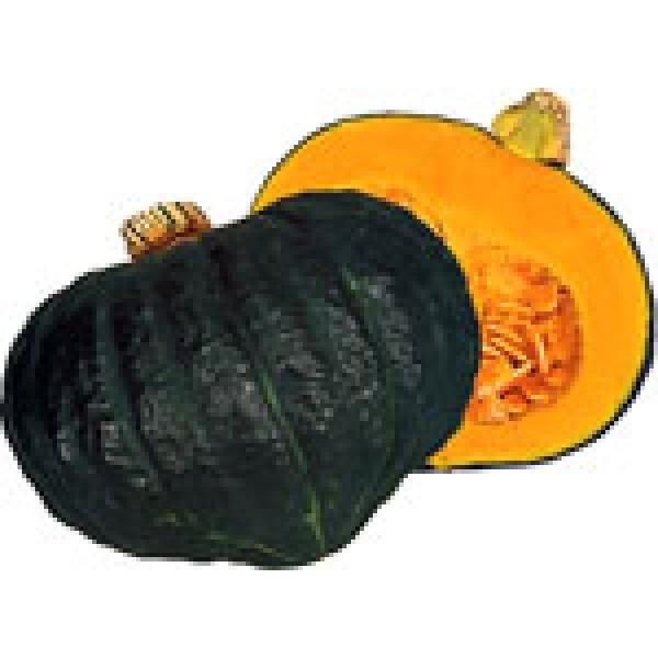 yJ{`z@JlRz@イEX@udIʁvʗpV[1000@ΏۊOi