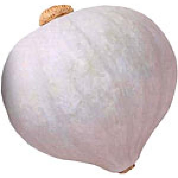 yJ{`qz@JlRz@dIiイj@9@V^l͎q؂ւ1ȍ~̂͂\