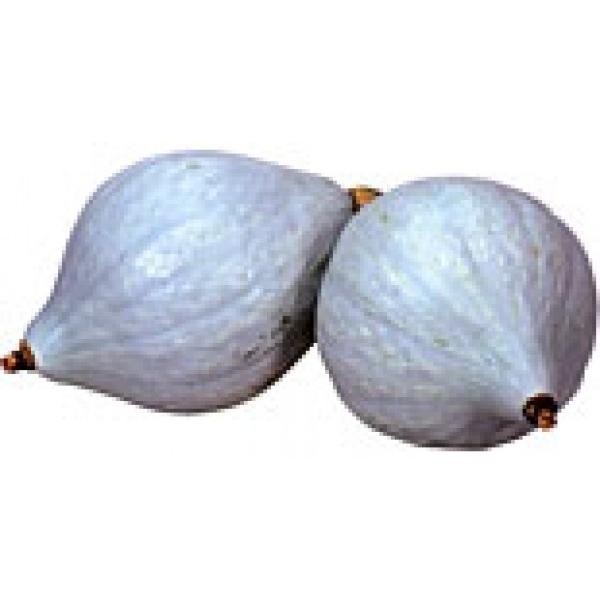 yJ{`qz@JlRz@Ii낭j@100@V^l͎q؂ւ1ȍ~̂͂\